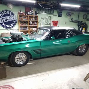 Meet your Posher, Ray